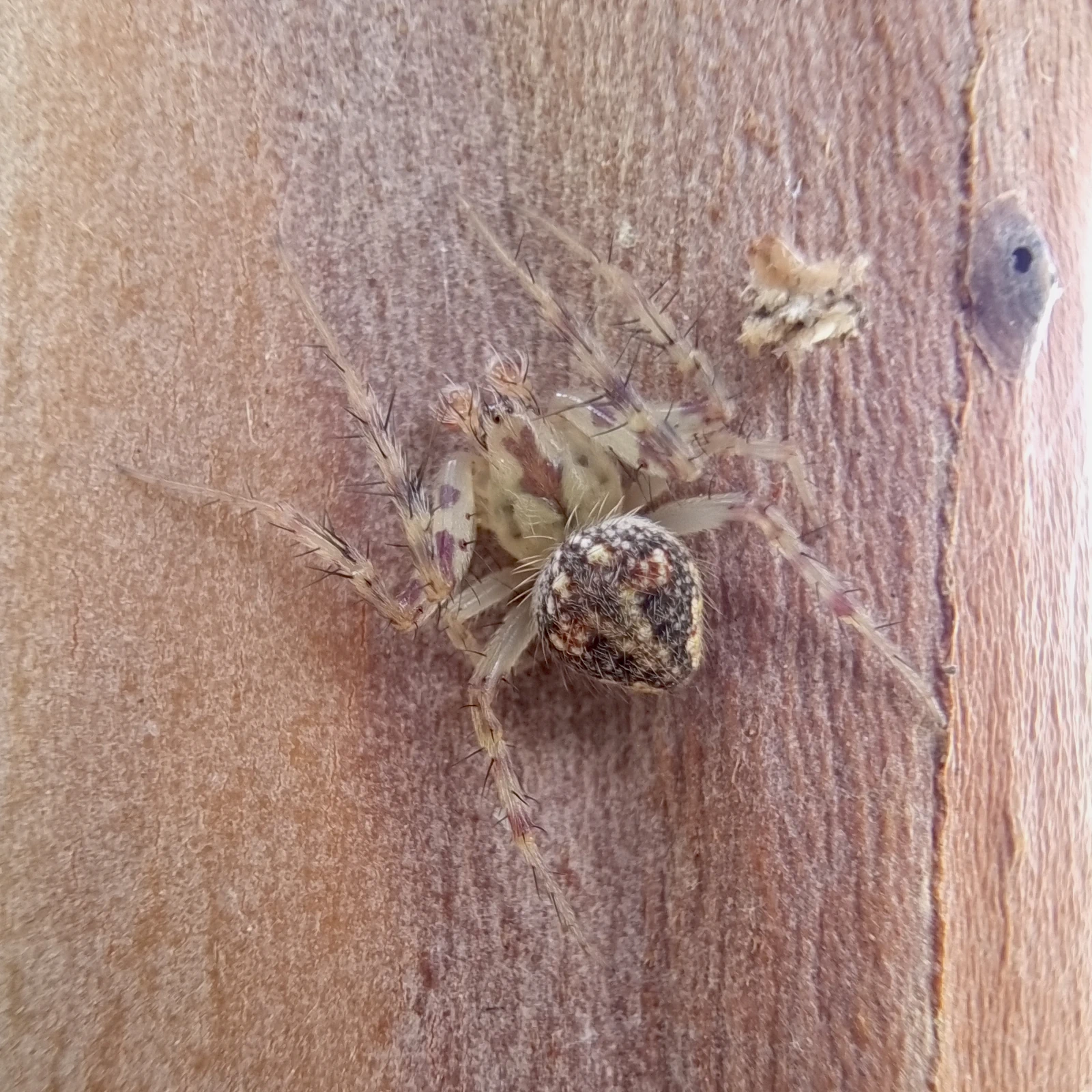 Image description here